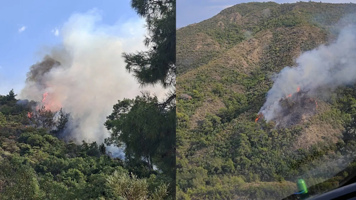 Muğla'da orman yangını! Alevlere havadan ve karadan müdahale: Çıkış nedeni belli oldu