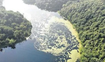 Elmalı Barajı’nda tedirgin eden görüntü