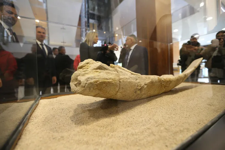 Tam 7.5 milyon yıllık: O ilimizde bulundular!