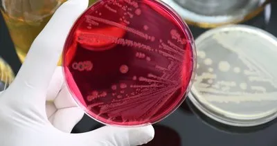 ABD’de yüzde 80 ölümcül virüs geliştirildi: Yeni bir salgına neden olabilir!