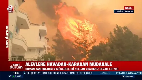 SON DAKİKA: Muğla Bodrum'da orman yangını evlere ulaştı! Yangın bölgesinden CANLI YAYIN