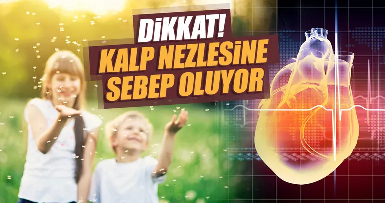 Dikkat! Kalp nezlesine sebep oluyor...