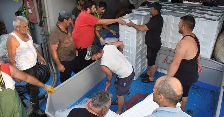 Balıkçılar Akçakoca limanına bol palamutla döndü