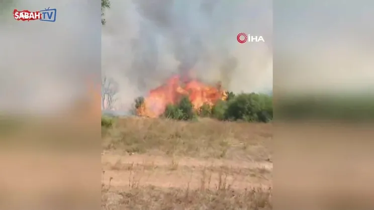 Gebze'de orman yangını başladı | Video
