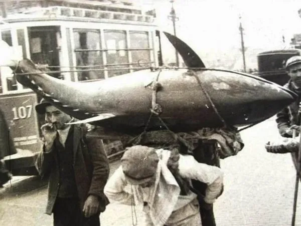 Leonidas Mikropoulos'un İstanbul fotoğrafları