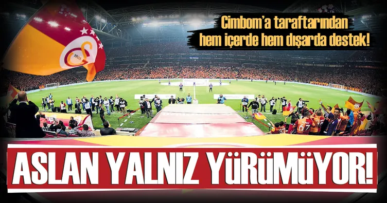 Aslan yalnız yürümüyor