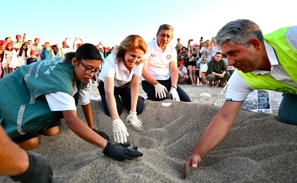 antalyada-caretta-caretta-yavrulari-denizle-bulustu-1784383001532.jpg