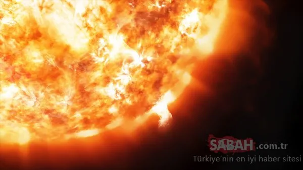 Bu gerçekler şoke ediyor