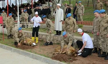 Komandalar kurban kesilerek Şırnak’tan Afrin’e uğurlandı