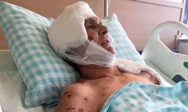 Saldırgan köpeğin sahibine emsal ceza