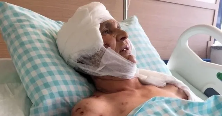 Saldırgan köpeğin sahibine emsal ceza