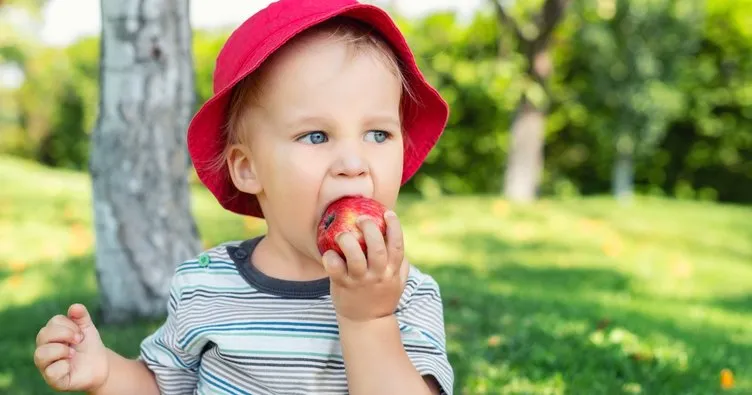 Tuketilen Besinler Beyin Gelisimini Dogrudan Etkiliyor Cocuk Haberleri