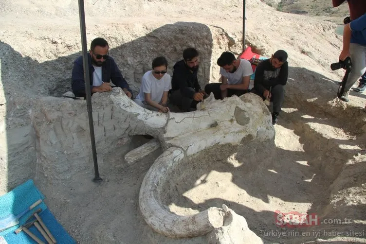 Kayseri’de 7 buçuk milyon yıllık ’fil’ fosili bulundu