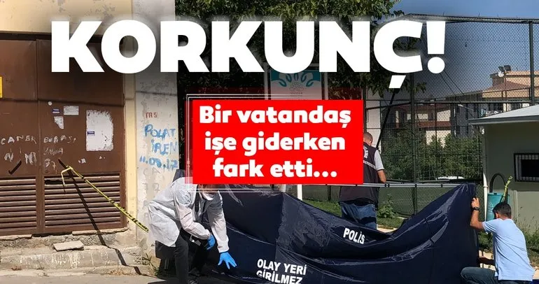Bursa’da korkunç olay! Yürüyüş yaptığı parkta ölü bulundu...