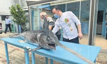 Saros’ta 88 kg’lık kılıç balığı yakalandı
