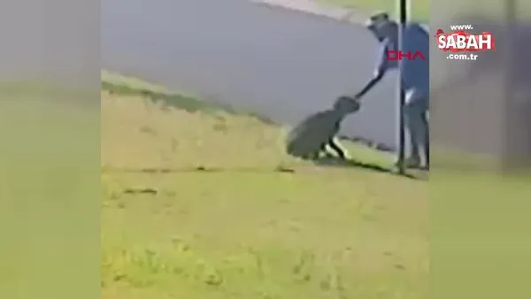 Avustralya, sokakta gördüğü köpeği yumruklayarak öldürmeye çalışan ruh hastasını arıyor
