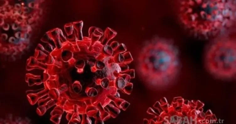 Koronavirüs günlük vaka ve ölüm sayısı 21 Temmuz 2022 || Türkiye’de vaka sayısı hızla tırmanıyor! Koronavirüs vaka sayısı kaç oldu?