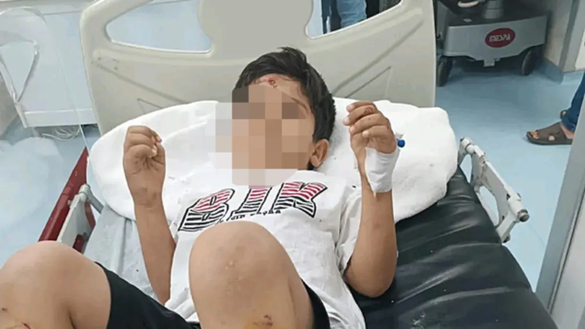 8 yaşındaki Abdulkadir Sarık sokak köpeklerinin saldırısında yaralanmıştı: Bakan Çiftçi’den ‘inceleme’ talimatı! 8 yaşındaki Abdulkadir Sarık sokak köpeklerinin saldırısında yaralanmıştı: Bakan Çiftçi’den ‘inceleme’ talimatı!