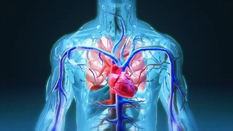 Başparmak testiyle kalp hastalığı riskinizi öğrenin! O kişilerin yüzde 98’i...