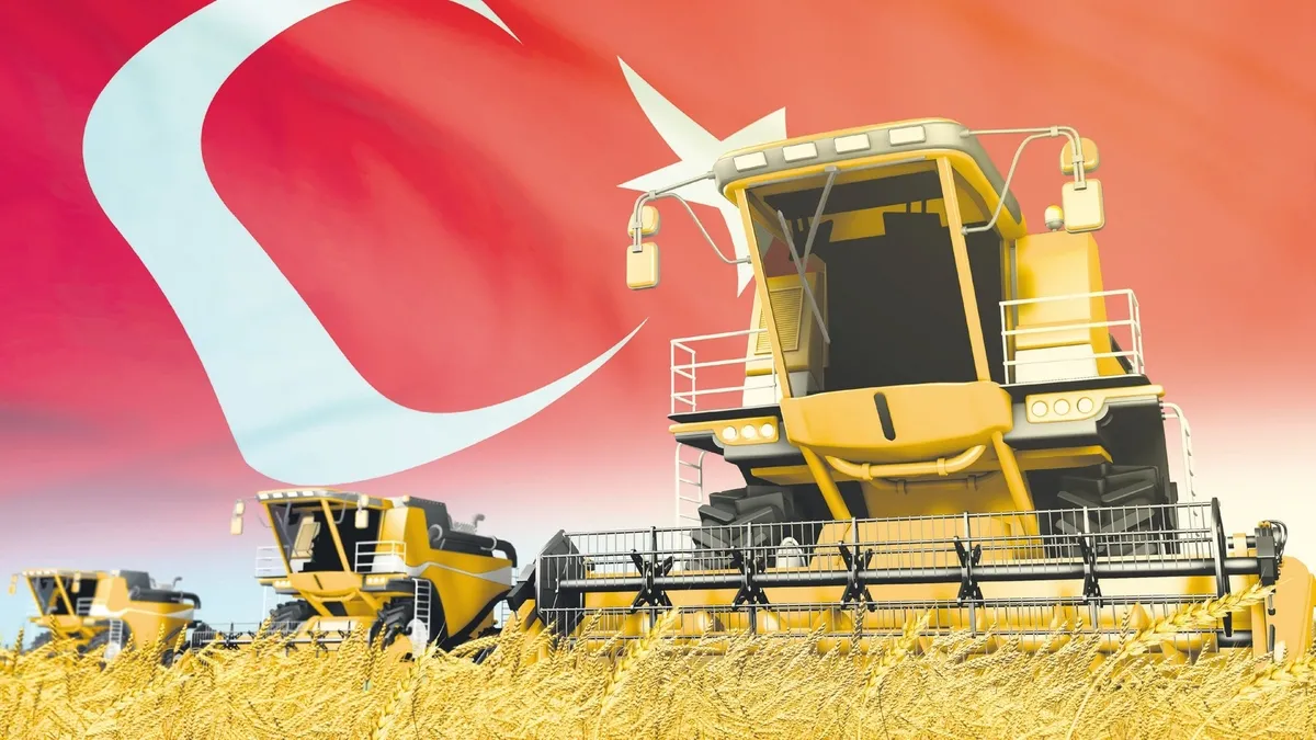 Türkiye buğdayda tarih yazmaya hazırlanıyor Türkiye buğdayda tarih yazmaya hazırlanıyor