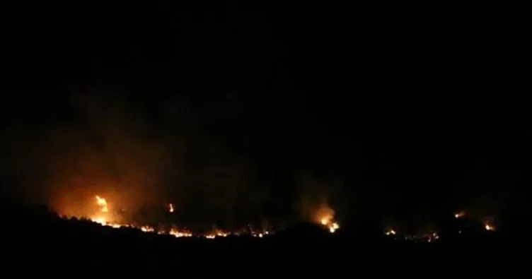 Son dakika: Adana’daki yangın kontrol altına alındı