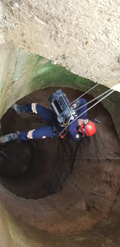 İzmir'de kuyuya düşen inek operasyonla kurtarıldı