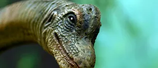 Dinozor yumurtaları zaman makinesi gibi çalışıyor! Yaşlarını artık biliyoruz