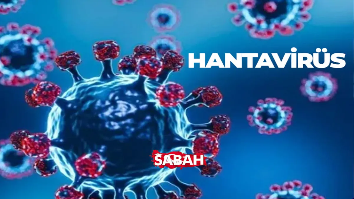 HANTAVİRÜS nedir, nasıl ortaya çıktı, hangi ülkelerde görüldü? Hantavirüs belirtileri ve bulaşma yolları...