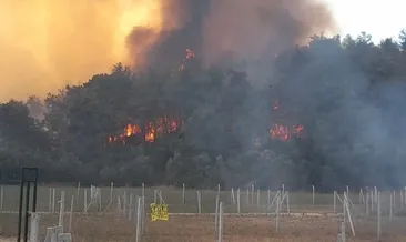 İzmir Menderes’te orman yangını: Dumanlar Kuşadası’ndan görülebiliyor!