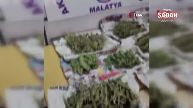 Akçadağ’da 6,5 kilo esrar ele geçirildi
