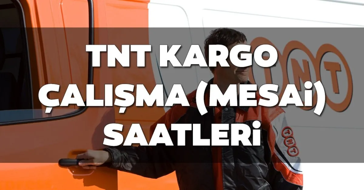 Tnt Istanbul Subeleri