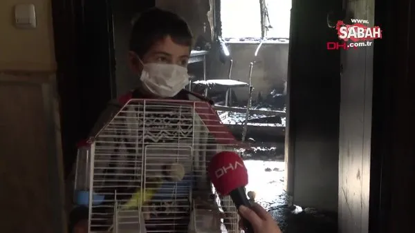 Antalya'da Oğlu 'limon'um içeride kaldı' diye ağlayınca dumanın arasına girip kuşları kurtardı | Video