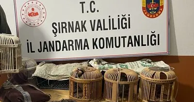 Şırnak’ta 21 kınalı keklik ele geçirildi #sirnak