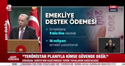 SON DAKİKA: Başkan Erdoğan emekliye zam oranını açıkladı!