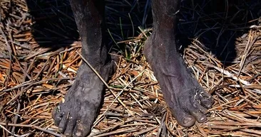 Medeniyetin göbeğinde inanılmaz hayat