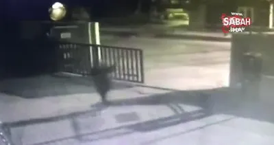 Karakola pompalı tüfekle saldırı kamerada | Video