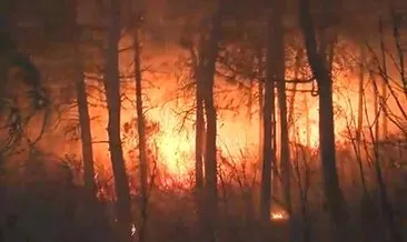 SON DAKİKA | İstanbul Maltepe’de orman yangını