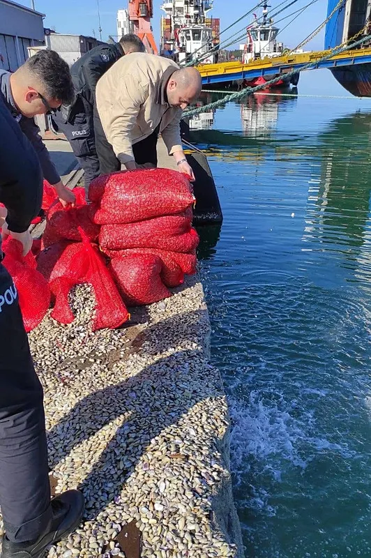 samsunda-1-ton-180-kilo-kacak-midye-ele-gecirildi-1741284683621.jpeg