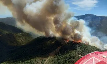 İspanya’da orman yangını: 3 yaralı
