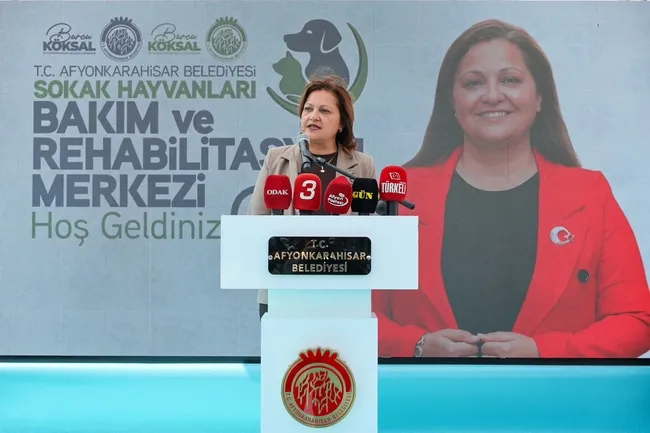 afyonkarahisarda-yeni-donem-sokak-hayvanlari-icin-dev-rehabilitasyon-merkezi-1783620043974.jpg