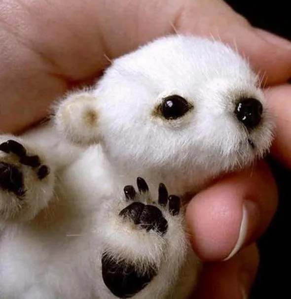 Yanlış bilinen doğrular: Bu hataya düşmeyin!