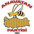 Anavatan Partisi yüzde 41,5 oy oranı ile 54 ilde belediye başkanlığı aldı