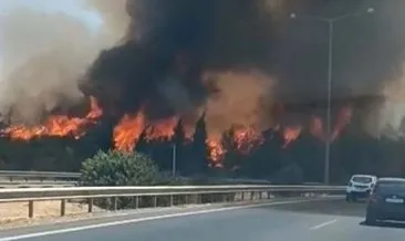 İzmir Buca’da orman yangını #izmir