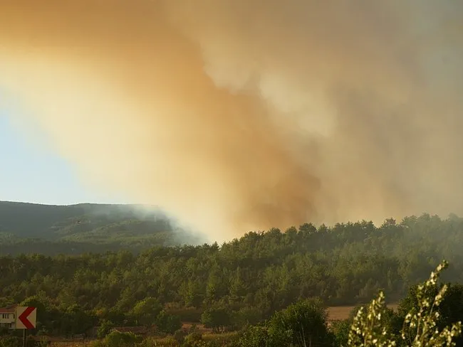 Karabük ve Kastamonu’da orman yangını: Kara yolu ulaşıma kapatıldı!