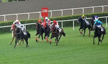 At yarışlarında derbi heyecanı