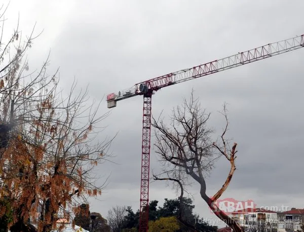 Vinç operatörü yaptığıyla herkesi şaşırttı