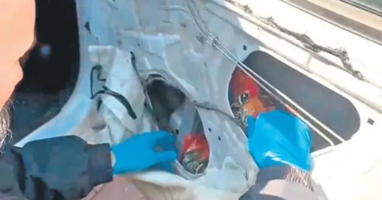 Bir kapıdan 66 bin hap çıktı