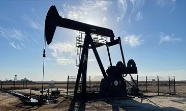 Küresel petrol arzı ocakta azaldı