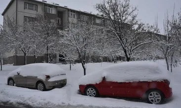 Bitlis’te 165 köy yolu ulaşıma kapandı