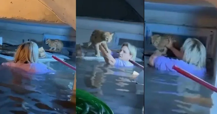 Antalya’da bir kadın boğulmak üzere olan kediyi...